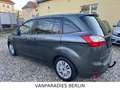 Ford Grand C-Max Grand C-MAX Cool &Connect 1.5/Aut./AHK/Cam/Euro6 Grau - thumbnail 34