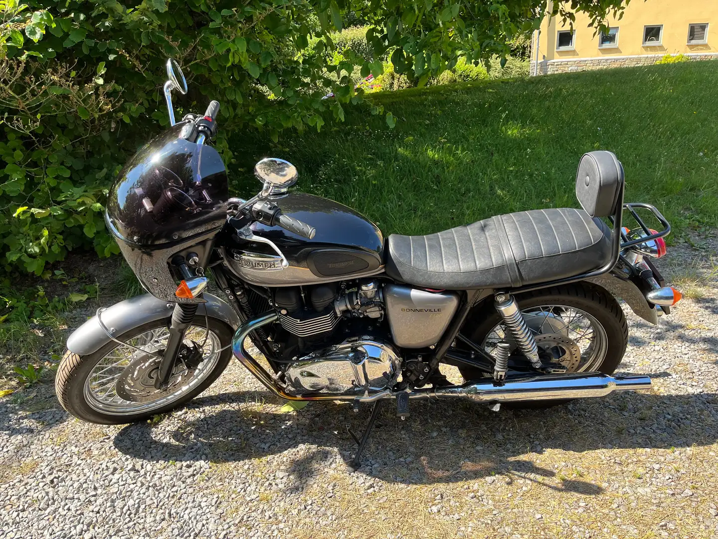 Triumph Bonneville T100 Argent - 1