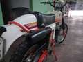 KTM 250 GS KTM GS 80 250 - thumbnail 4