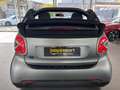 smart forTwo EQ cabrio matt 22kw Kamera Carbon Lenkradh Grau - thumbnail 3