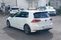 Volkswagen Golf Golf 1.4 TSI 125 CV 5p. R-LINE Highline BMotion T. Weiß - thumbnail 7