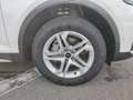 Audi Q5 40 TDI q. S-Tronic S-Line, LED, AHK, Ambiente Blanc - thumbnail 16