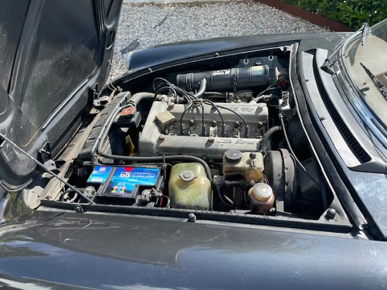 Alfa Romeo duetto, foto 2