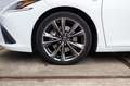 Lexus ES 300 300h F-Sport Business Line Blanc - thumbnail 16
