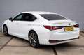 Lexus ES 300 300h F-Sport Business Line Blanc - thumbnail 13