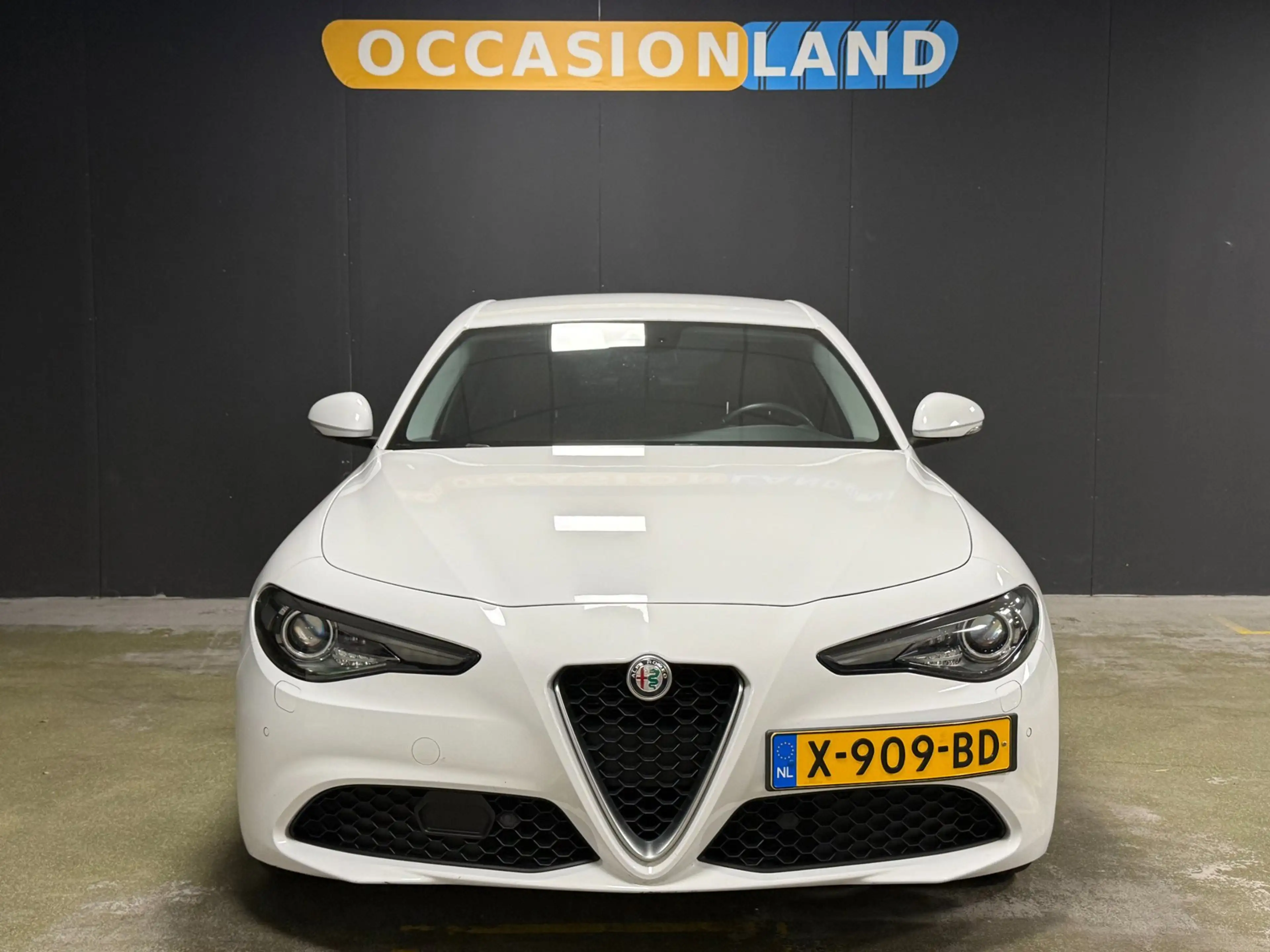Alfa Romeo Giulia 2.0T Super|LEDER|MEMORY|LED|STOELV|STUURV|CRUISE|C — photo 5