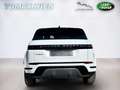 Land Rover Range Rover Evoque P269e PHEV S AWD Aut. Weiß - thumbnail 6