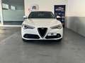 Alfa Romeo Stelvio 2.2 Turbodiesel 190 CV AT8 RWD Executive Bianco - thumbnail 1