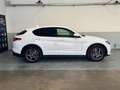 Alfa Romeo Stelvio 2.2 Turbodiesel 190 CV AT8 RWD Executive Bianco - thumbnail 7