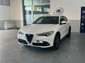 Alfa Romeo Stelvio 2.2 Turbodiesel 190 CV AT8 RWD Executive Bianco - thumbnail 3