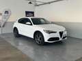 Alfa Romeo Stelvio 2.2 Turbodiesel 190 CV AT8 RWD Executive Bianco - thumbnail 2