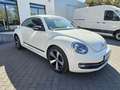 Volkswagen Beetle 2.0 TDI Club NAVI BI-XENON AUS 1.HAND White - thumbnail 3