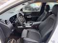 Mercedes-Benz B 200 d | Progressiv | AHV | Fahrass.Paket | 360° Weiß - thumbnail 11