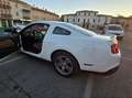 Ford Mustang 4.0 V6 Bianco - thumbnail 4