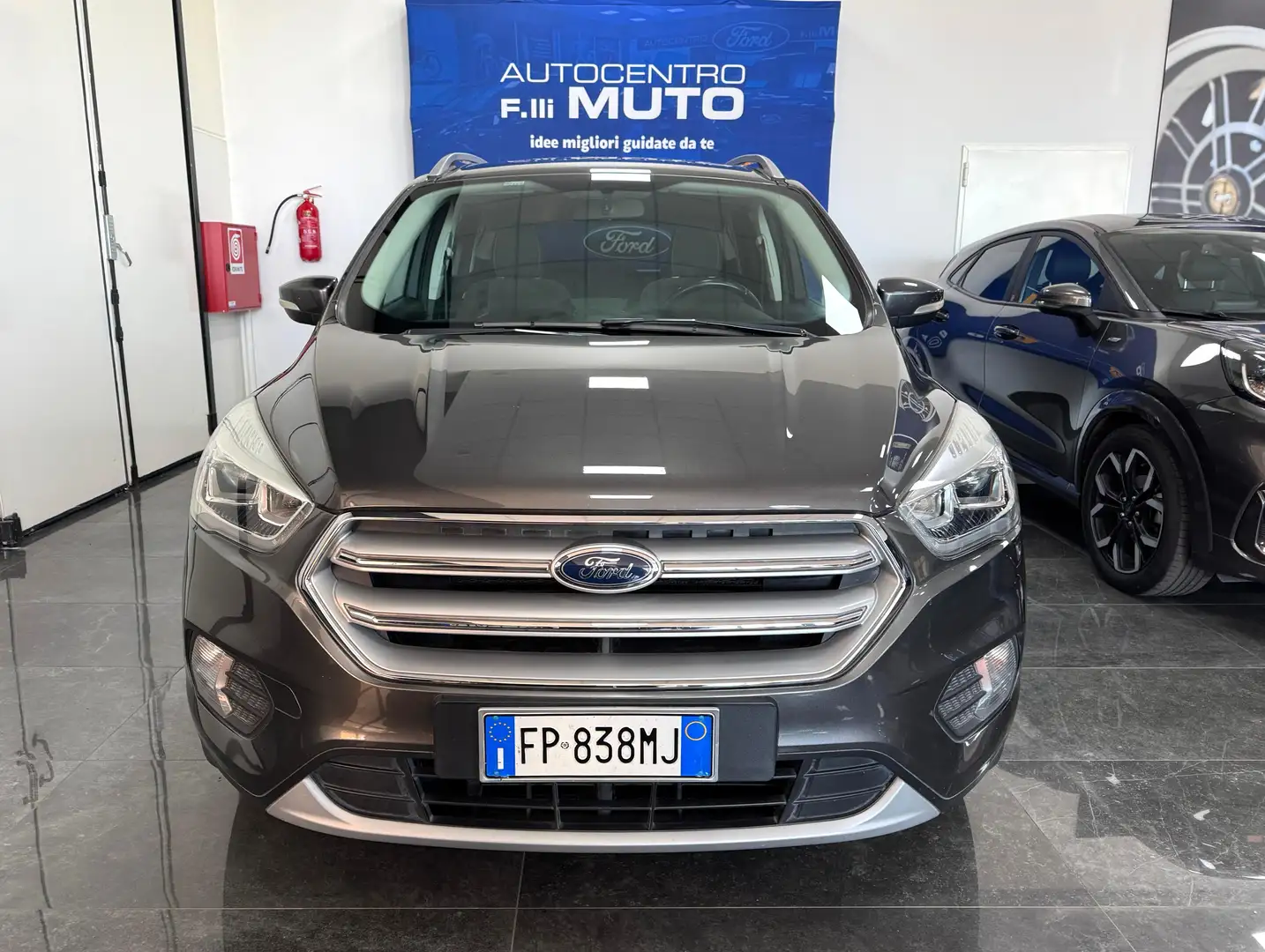 Ford Kuga Kuga 1.5 tdci Business 120 CV AUTOMATICA Grigio - 2