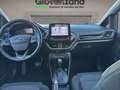 Ford Fiesta Active 1.0 ecoboost 100cv automatica neopatentati Blau - thumbnail 13