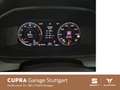 SEAT Leon 1.5 eTSI DSG 110 kW Grau - thumbnail 9