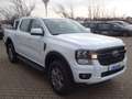 Ford Ranger XLT DoKa 4x4 AHK Stndhzg WiPa ACC Kam Weiß - thumbnail 7