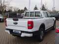 Ford Ranger XLT DoKa 4x4 AHK Stndhzg WiPa ACC Kam Weiß - thumbnail 5