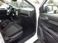 Ford Ranger XLT DoKa 4x4 AHK Stndhzg WiPa ACC Kam Weiß - thumbnail 10