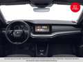 Skoda Octavia 4x4 Ambition TDI DSG Blau - thumbnail 6