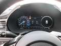 Kia XCeed Plug-in Hybrid Platinum Edition Grau - thumbnail 9