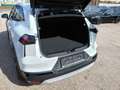 Mitsubishi Grandis 1,3 Petrol Intense S+C+T 26 Weiß - thumbnail 5