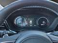 Kia Niro e-Niro Vision 1. Hand Grau - thumbnail 8