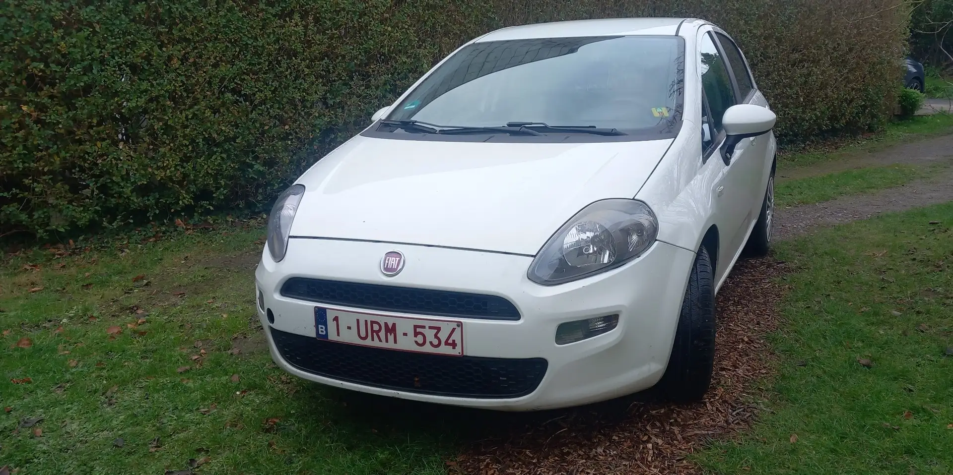 Fiat Punto Punto 1.2i Easy Blanc - 1