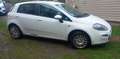 Fiat Punto Punto 1.2i Easy Blanc - thumbnail 4