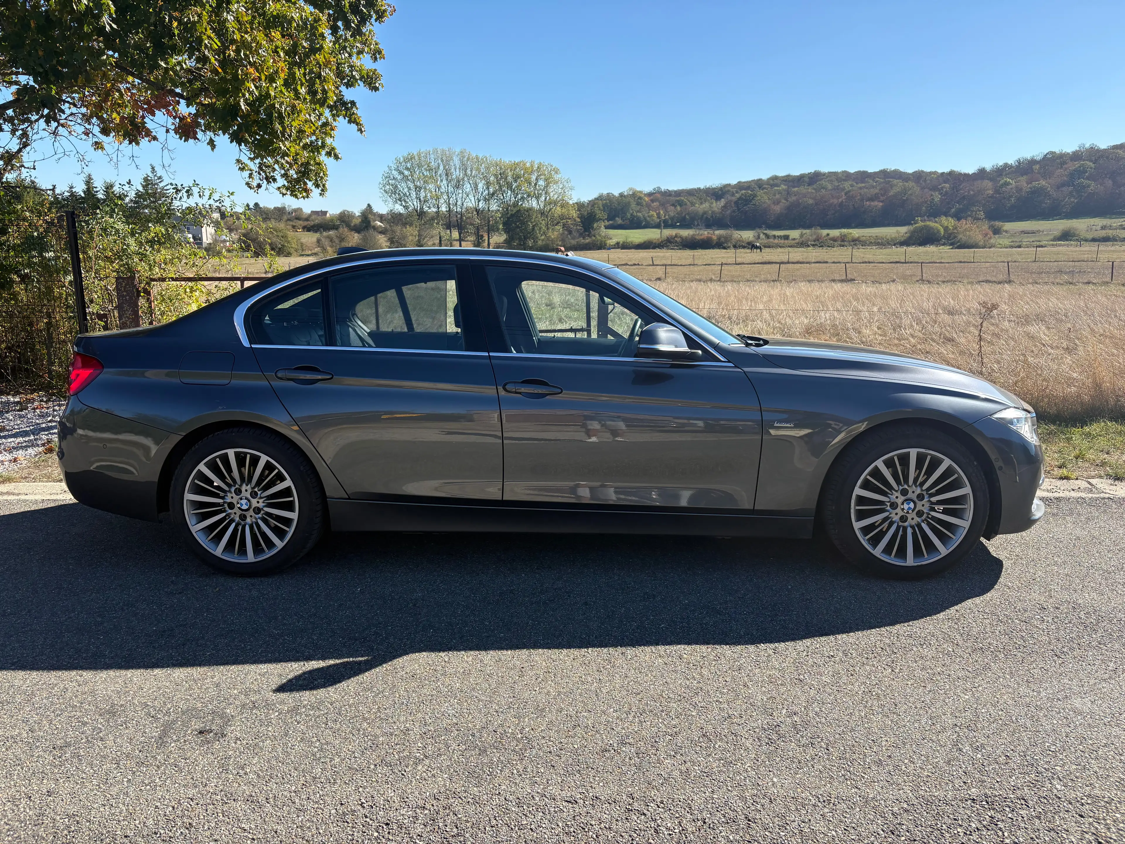 BMW 318 318i Luxury Line — photo 5
