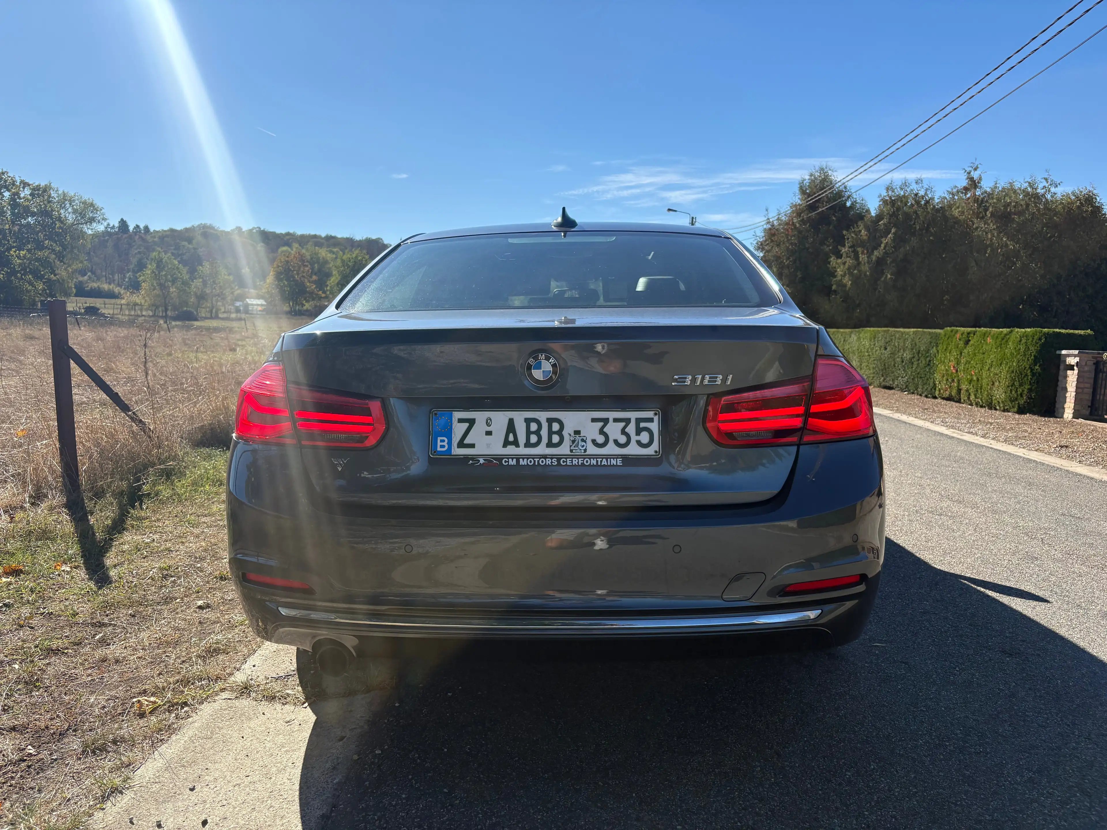 BMW 318 318i Luxury Line — photo 7