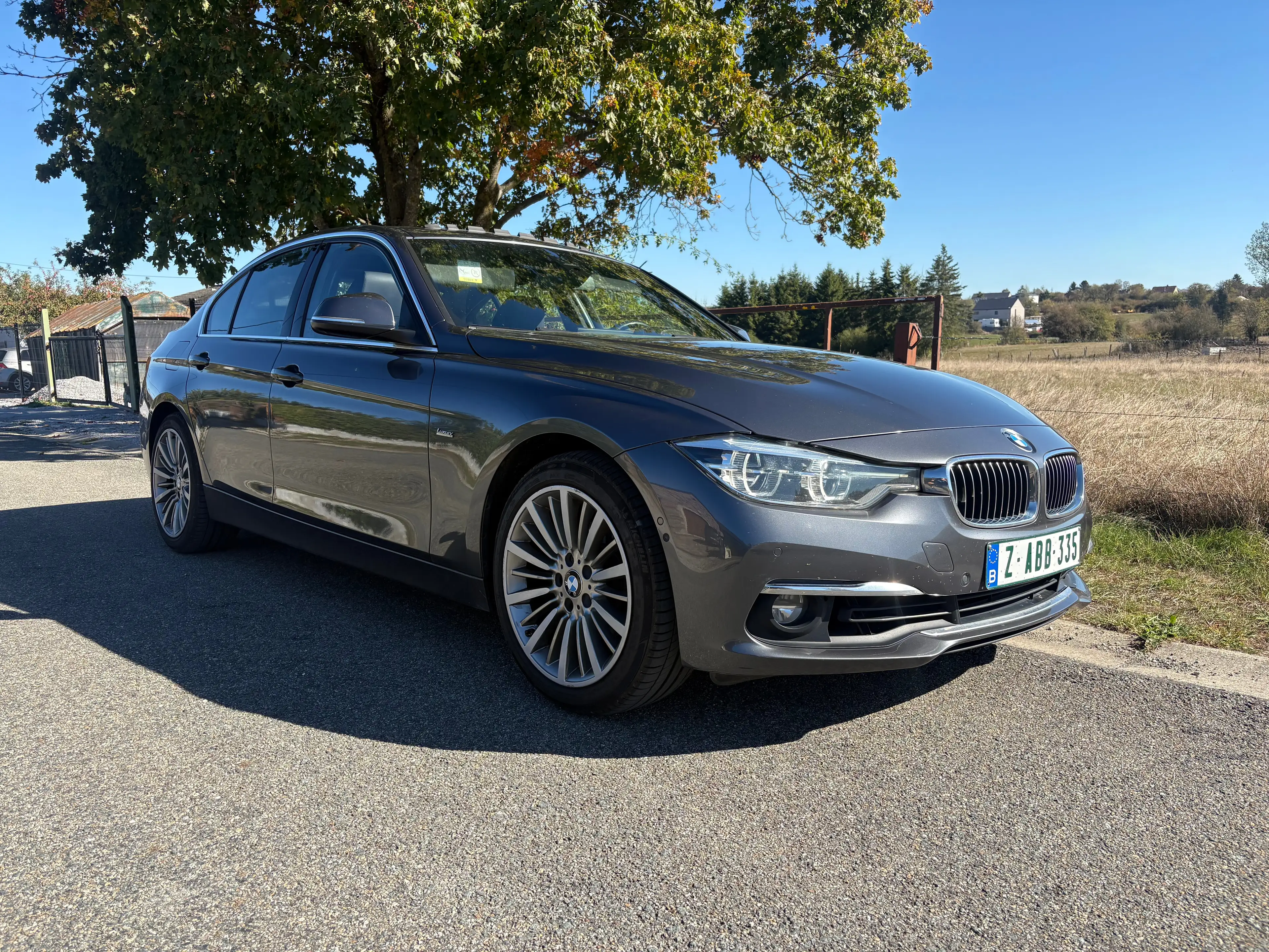 BMW 318 318i Luxury Line — photo 4