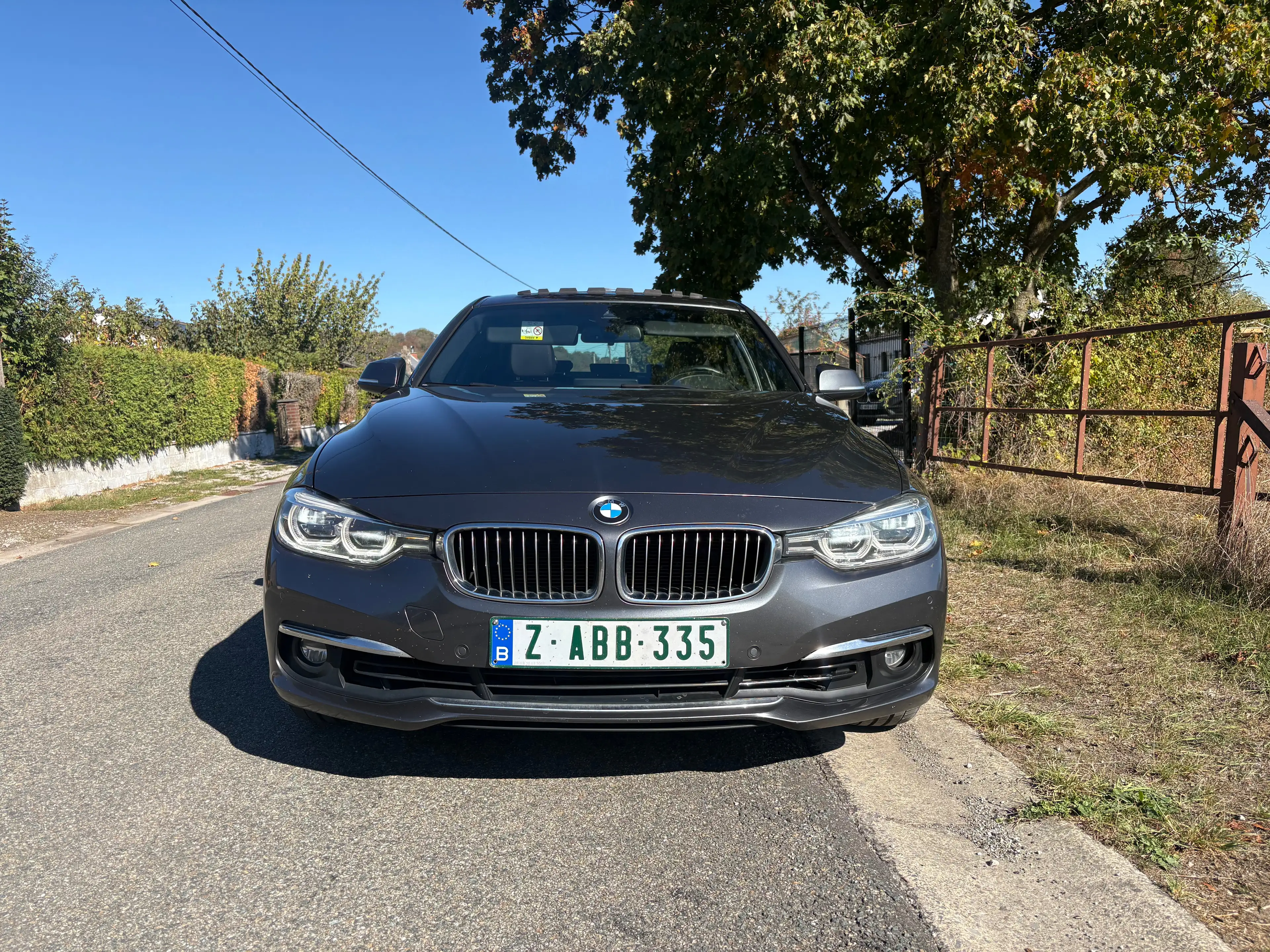 BMW 318 318i Luxury Line — photo 2