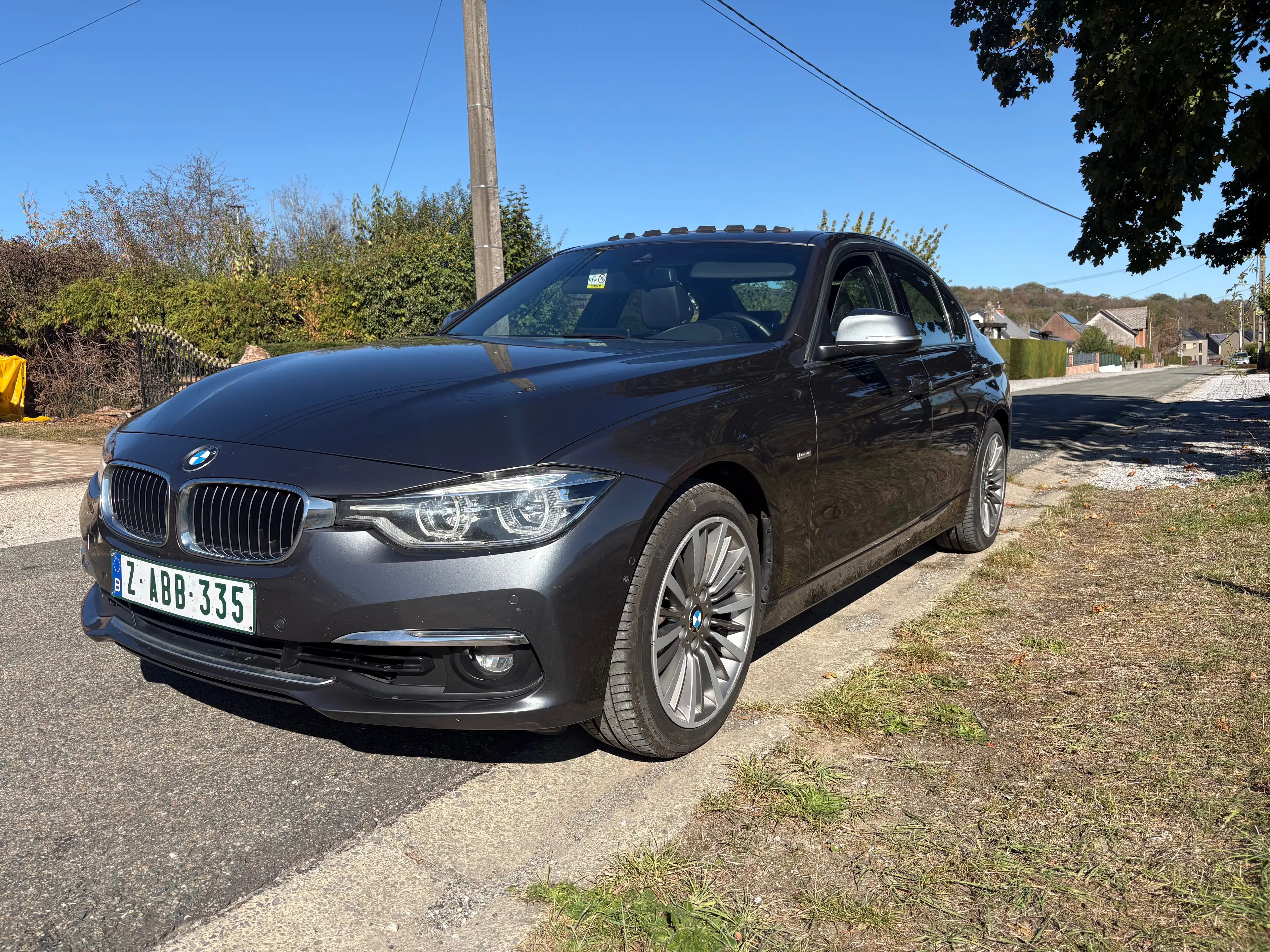 BMW 318 318i Luxury Line — photo 3