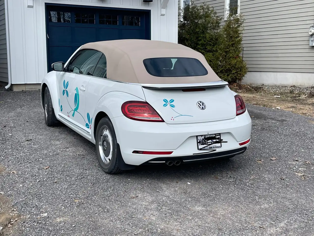 Volkswagen Beetle снимка Volkswagen Beetle