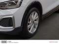 Audi Q2 35 TFSI virtual LED Sitzheizung Einparkhilfe Weiß - thumbnail 10