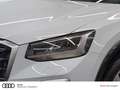 Audi Q2 35 TFSI virtual LED Sitzheizung Einparkhilfe Weiß - thumbnail 6