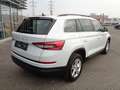 Skoda Kodiaq 2,0 TDI DSG *Navi *Leder Weiß - thumbnail 8