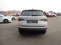 Skoda Kodiaq 2,0 TDI DSG *Navi *Leder Weiß - thumbnail 7