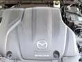 Mazda CX-30 2.0 e-SkyActiv-X M Hybrid Luxury Incl. Trekhaak | Gris - thumbnail 35