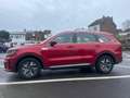 Kia Sorento 1.6 TGI 2WD HEV Pace Rouge - thumbnail 3