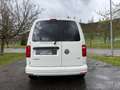 Volkswagen Caddy Edition 2.0 TDI 75kW 102CV BMT Blanco - thumbnail 11