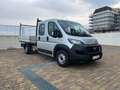 Fiat Ducato 7 POSTI + CLIMA Blanc - thumbnail 3