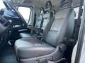 Fiat Ducato 7 POSTI + CLIMA Blanc - thumbnail 9