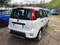 Fiat New Panda 1.0 FireFly Hybrid City Life Bianco - thumbnail 3