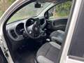 Fiat New Panda 1.0 FireFly Hybrid City Life Bianco - thumbnail 8