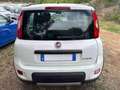 Fiat New Panda 1.0 FireFly Hybrid City Life Bianco - thumbnail 4