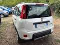 Fiat New Panda 1.0 FireFly Hybrid City Life Bianco - thumbnail 5