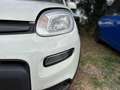 Fiat New Panda 1.0 FireFly Hybrid City Life Bianco - thumbnail 6